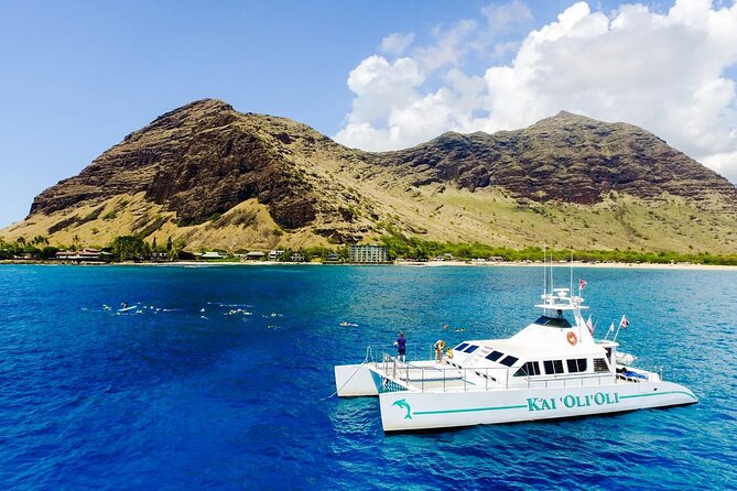 Private and Luxurious Sunset Cruise with Whale & Dolphin Watch - Wildlife spotting: dolphins on schedule, whales when luck cooperates