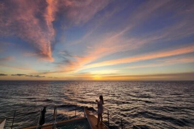 Private and Luxurious Sunset Cruise with Whale & Dolphin Watch - Stop 1 at Ko Olina: snorkeling with real marine life