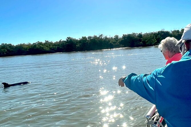 Private Best of Marco Island Dolphin Tour - Ten Thousand Islands National Wildlife Refuge: the Dolphin-Spotting Core