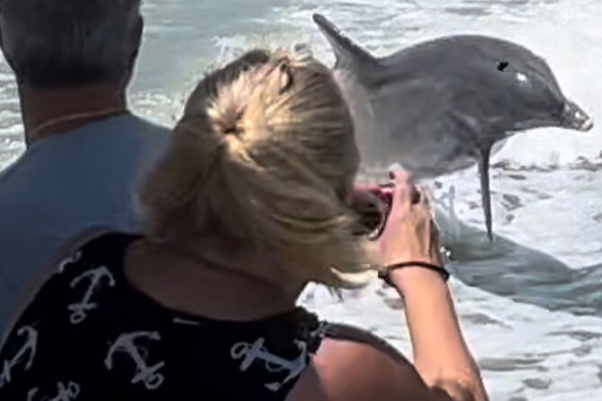 Private Best of Marco Island Dolphin Tour - Marco Island Segment: More Views, Less Rush