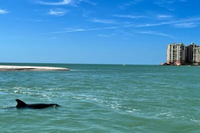 Private Best of Marco Island Dolphin Tour - Cape Romano Possibility: an Extra Southern Turn (If Conditions Allow)
