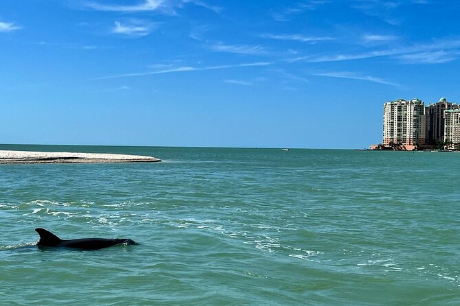 Private Best of Marco Island Dolphin Tour - Cape Romano Possibility: an Extra Southern Turn (If Conditions Allow)