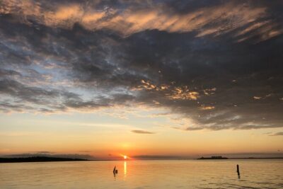 Private Boat and Dolphin Watching in Florida - Wildlife spotting you can actually enjoy, not just hope for