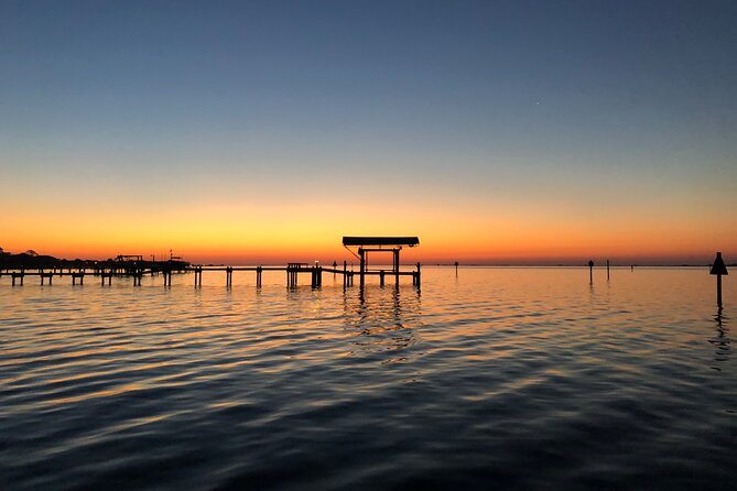 Private Boat and Dolphin Watching in Florida - Price and value: $350 per group for up to six