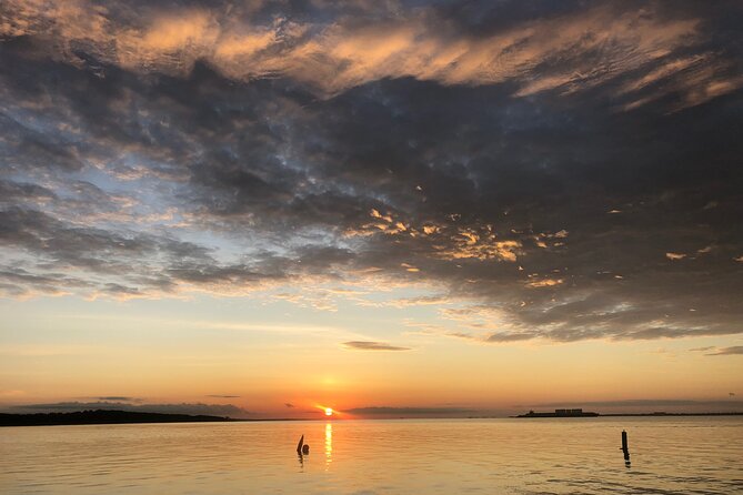 Private Boat and Dolphin Watching in Florida - Wildlife spotting you can actually enjoy, not just hope for