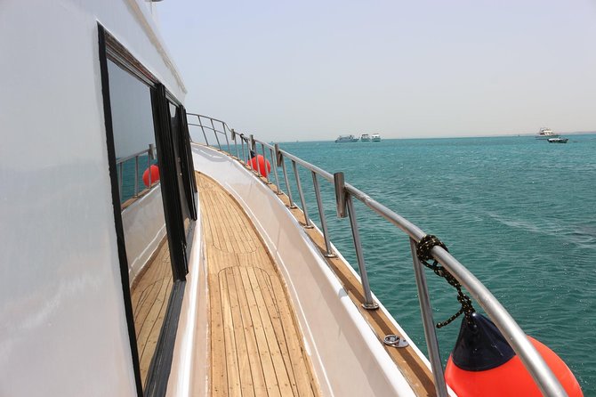 Private Boat Full Day Swimming With Dolphins Trip - Hurghada - El Fanadir Reef Near El Gouna: A Second Stop Worth Waiting For