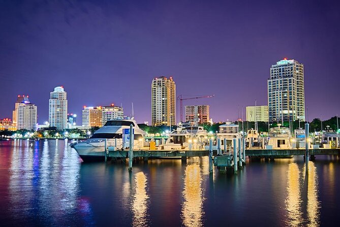 Private Boat: Island Cruise and Dolphins - Mansion-Watching and Dolphin Spotting in Tampa Bay