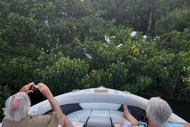 Private Boat: Island Cruise and Dolphins - The Engine-Off Relaxation and Sunset Feel