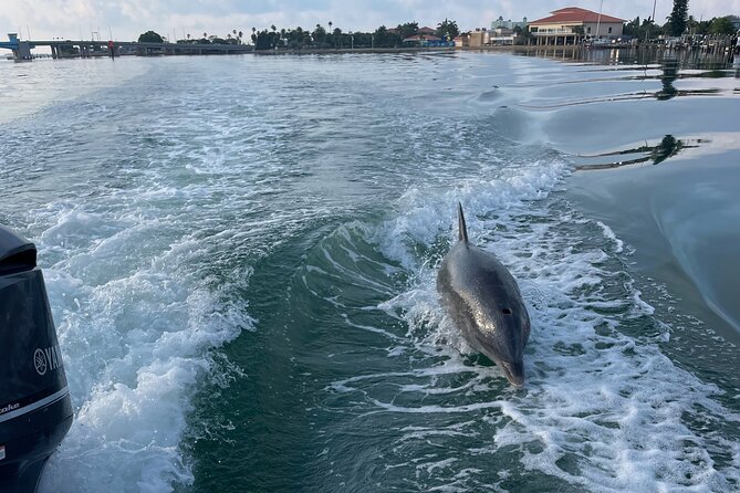 Private boat offering dolphin watching, island excursions and nature tours - A Private Boat Day From St. Pete Beach (That Actually Feels Like Yours)