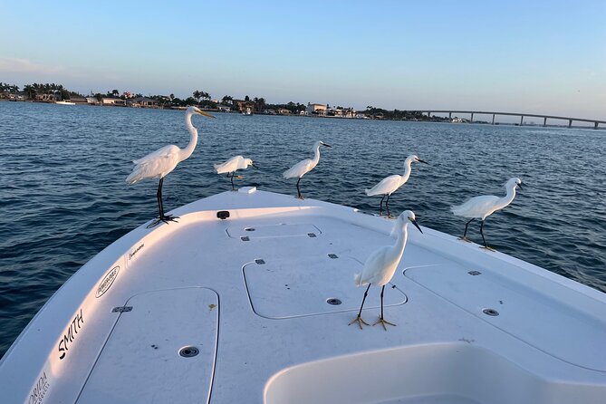 Private boat offering dolphin watching, island excursions and nature tours - What You’ll Do on the Water in About 3 Hours