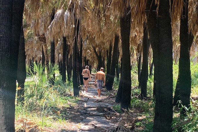 Private boat offering dolphin watching, island excursions and nature tours - Dolphins, Manatees, Rays, and Birds: How to Think About Wildlife Here