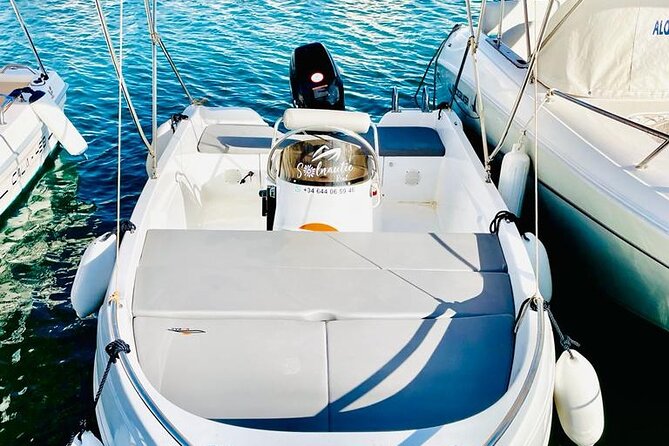 Private boat rental without title dolphin watching - Your 1–4 Hour Plan: Beaches, Swims, Coast Stops, and Sunset