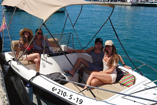 Private boat rental without title dolphin watching - Dolphin Watching in Malaga: How to Think About Wildlife Here