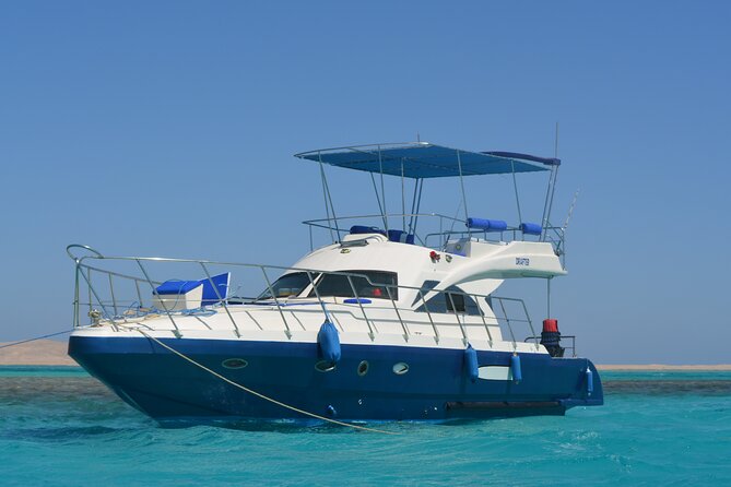 Private Boat to Dolphin House Full day Snorkeling Sea Trip Max 10 Pax - Hurghada - El Fanadir Reef near El Gouna: sea life you can actually track