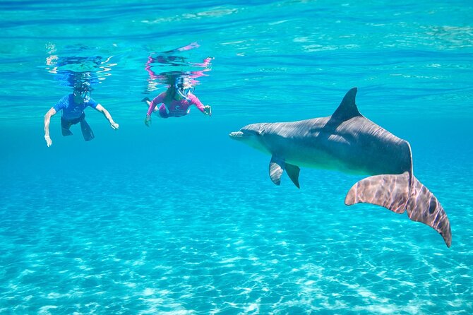 Private Boat to Dolphin House Full day Snorkeling Sea Trip Max 10 Pax - Hurghada - Boat comfort and group size: why max 10 feels like a cheat code