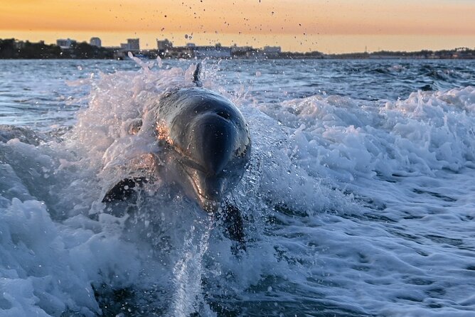 Private Boat Tour Dolphins Sunsets Shell Island and Snorkeling - Private Dolphin Boat Tour: What Makes It Worth Your Time