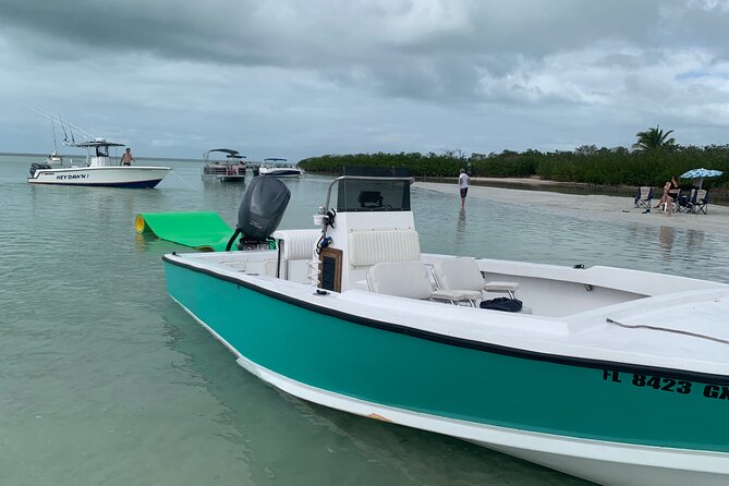 Private Boat Tour to Sand Bar Snorkel Dolphins and Sunset - Sandbar time and the dolphin-and-shark factor
