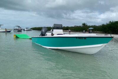 Private Boat Tour to Sand Bar Snorkel Dolphins and Sunset - Mangrove Islands stop: snorkel, paddle, rope swing, and wildlife watching