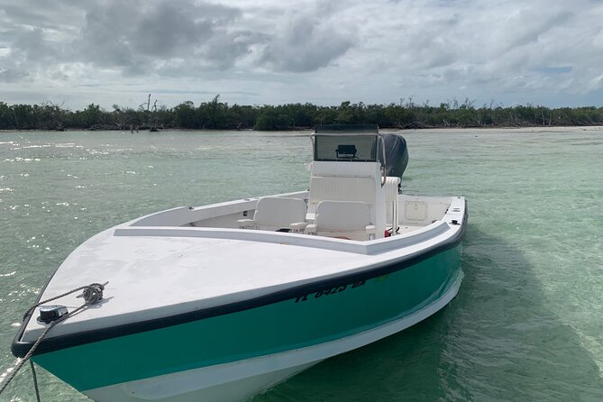 Private Boat Tour to Sand Bar Snorkel Dolphins and Sunset - Sunset return: why the timing matters in Key West