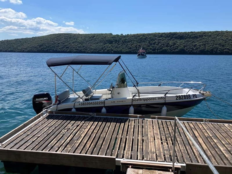 Private boat trips in Porec: dolphin watching, panoramic views - Why this Poreč dolphin trip feels special in 2 hours