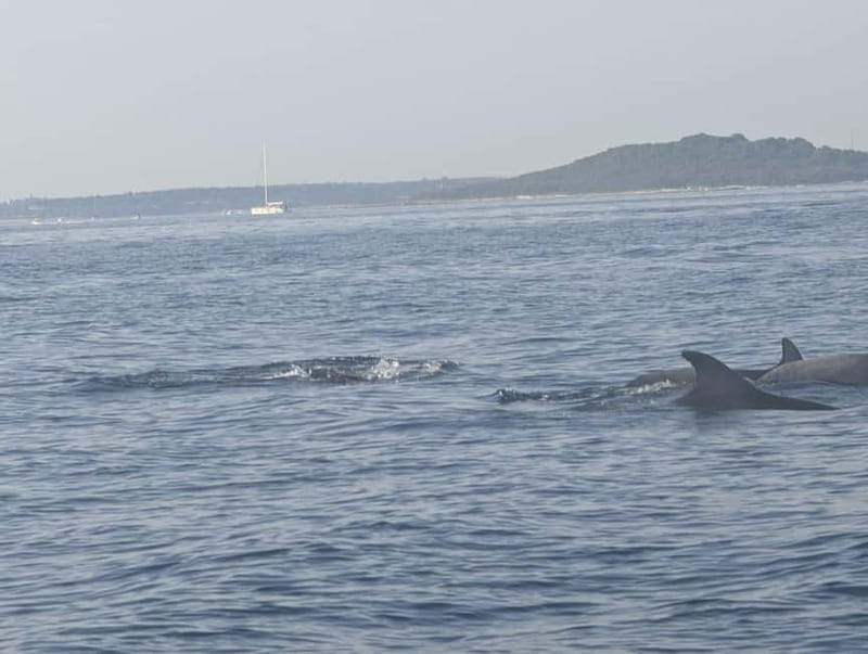 Private boat trips in Porec: dolphin watching, panoramic views - Comfort tips that actually help on a sea trip