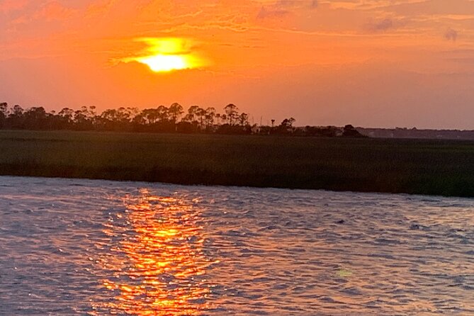 Private Charleston Sunset & Dolphin Cruise - Dolphins, bald eagles, and the captain’s wildlife spotting rhythm