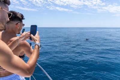 Private Coastline and Dolphins Yacht Cruise from Albufeira - Marina to Yacht: Getting On Board Without Losing Minutes