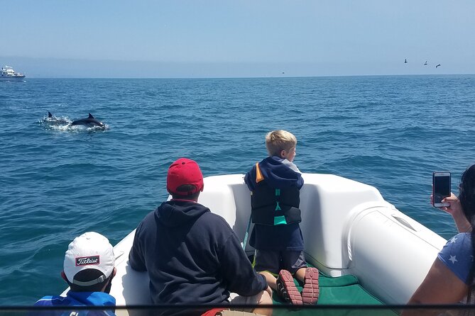 Private Dolphin and Whale Watching Tour in Newport Beach - Key highlights you’ll care about