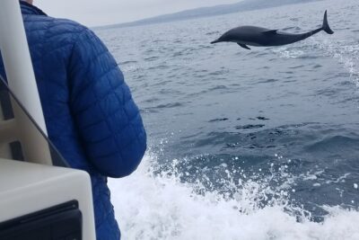 Private Dolphin and Whale Watching Tour in Newport Beach - How the 2.5-hour route works: Newport Harbor to the open Pacific