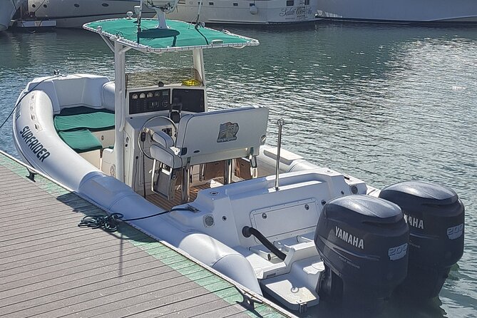 Private Dolphin and Whale Watching Tour in Newport Beach - Boat comfort and safety: a small craft that gets you close