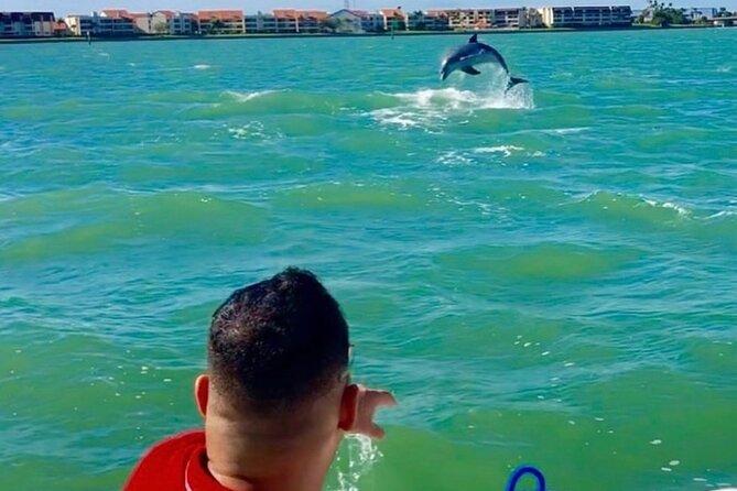 Private Dolphin & Architecture Tour in St. Petersburg, Fl - Who should book this private dolphin and architecture cruise?