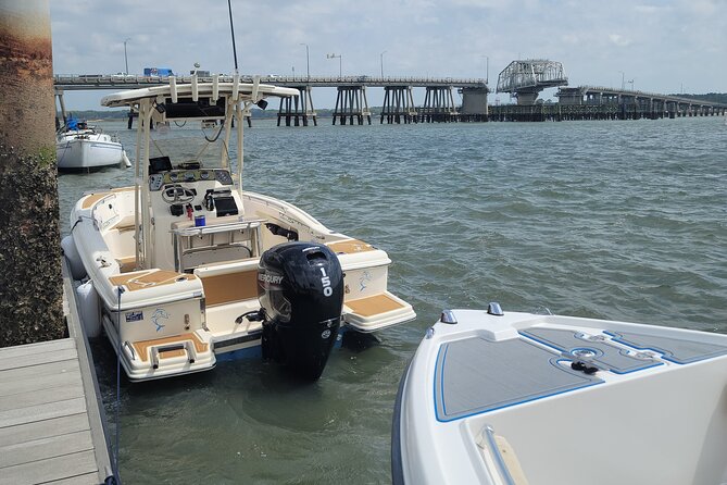 Private Dolphin Boat Tour in Hilton Head Island - Price and Value: $400 for a Group Up to 6