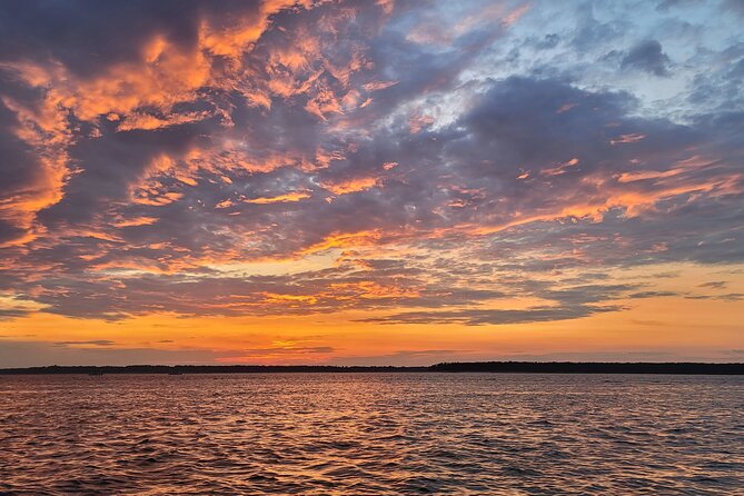 Private Dolphin Boat Tour in Hilton Head Island - Weather Rules and Wildlife Odds: What to Expect