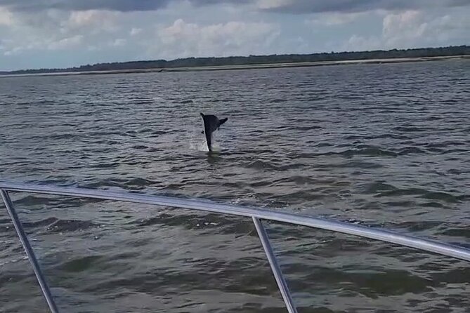 Private Dolphin Boat Tour in Hilton Head Island - Starting in Broad Creek: How the Tour Sets Up Sightings