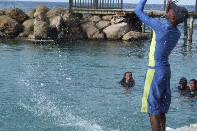 Private Dolphin Cove Adventure - Getting There and Back: Pickup That Keeps Your Day on Track