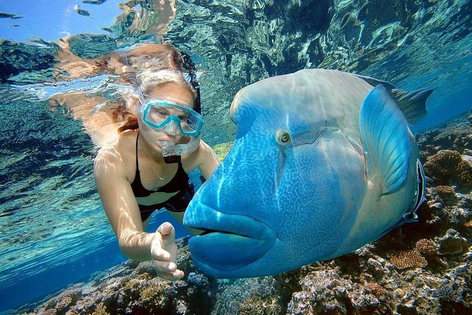 Private Dolphin House Boat Tour with Snorkeling & Lunch– Hurghada - Small logistics that can make or break the day
