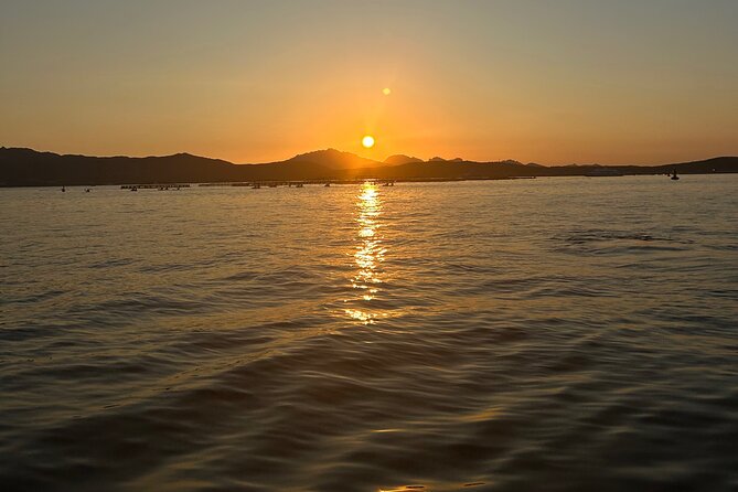 Private Dolphin Sighting Tour with Aperitif - Getting the Best Chances: Smart Things to Do Before You Go