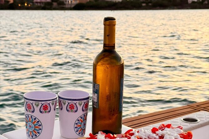 Private Dolphin Sighting Tour with Aperitif - Logistics That Matter Less Than You Think