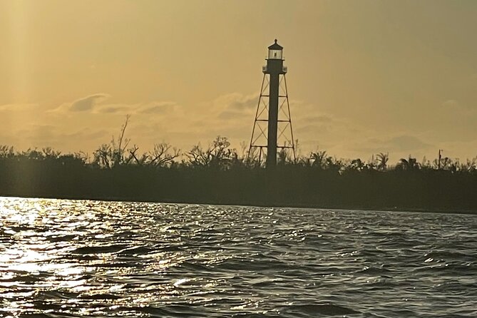 Private Dolphin & Sightseeing Boat Day Tour - A private 4-hour dolphin day from Cape Coral