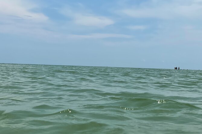 Private Dolphin & Sightseeing Boat Day Tour - Price and value: is $185 per person worth it?