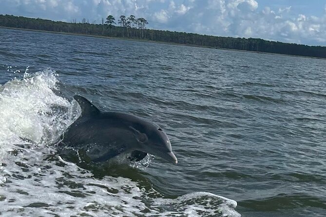 Private Dolphin Sightseeing Excursion - Key Highlights You’ll Notice Fast