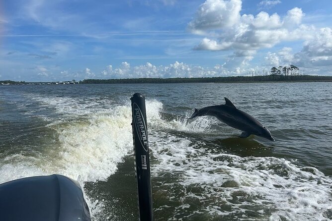 Private Dolphin Sightseeing Excursion - A Private 24-Foot Cobia Ride With Captain Matt’s Strategy