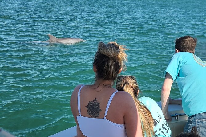 Private Dolphin Sightseeing Excursion - Comfort, Safety, and the Rules That Actually Matter