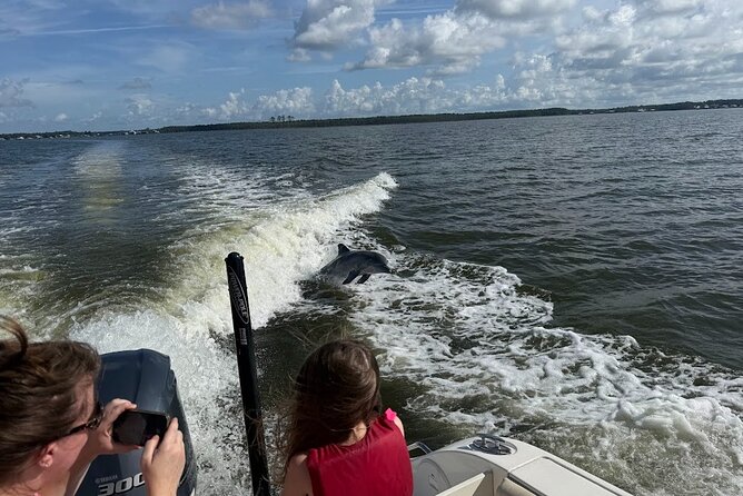 Private Dolphin Sightseeing Excursion - Price and Value: Is $190 Per Group Worth It?