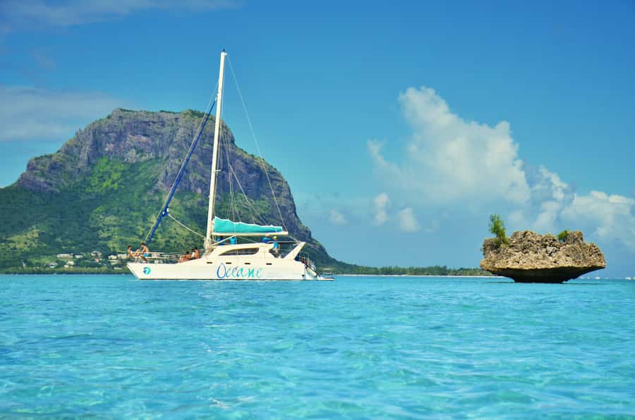Private Dolphin Swim/Snorkeling & Lunch on Benitiers island - Key takeaways for a smooth dolphin day