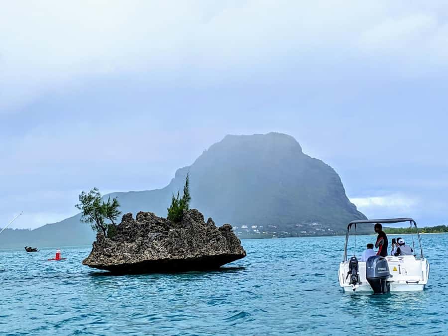 Private Dolphin Swim/Snorkeling & Lunch on Benitiers island - How this 7-hour private speedboat day flows