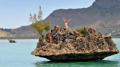 Private Dolphin Swim/Snorkeling & Lunch on Benitiers island - Dolphins in the Bay of Tamarin: the big promise, with real-world limits