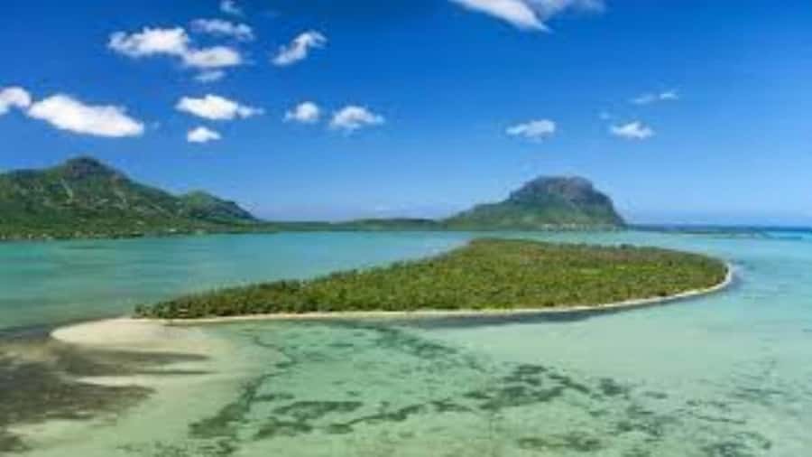 Private Dolphin Swim/Snorkeling & Lunch on Benitiers island - Pickup, crew, and equipment: the practical details that change your day