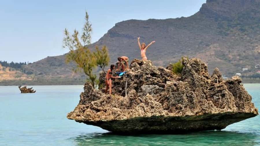 Private Dolphin Swim/Snorkeling & Lunch on Benitiers island - Dolphins in the Bay of Tamarin: the big promise, with real-world limits
