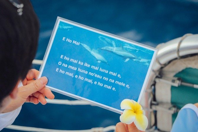 Private Dolphin Swim with Slide for up to 15 Passengers - Who Should Book This Private Dolphin Swim With Slide